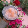 Tapas De Silicona x 6 Und